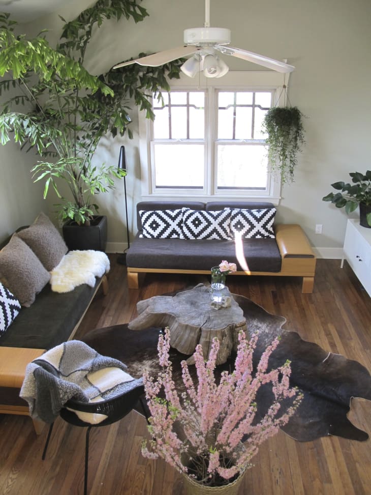 How to Make a House Feel Homey 10 Good Ideas Apartment Therapy